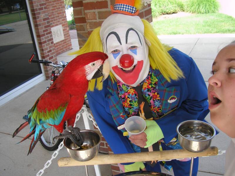 dingaling the clown